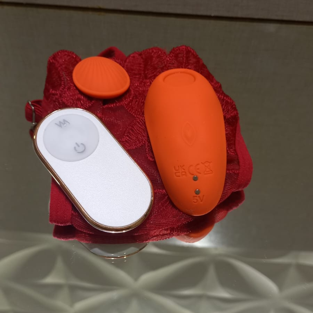 Secret Scarlet™ - Calcinha Vibratória com Controle - Leaf -RCT Turquesa